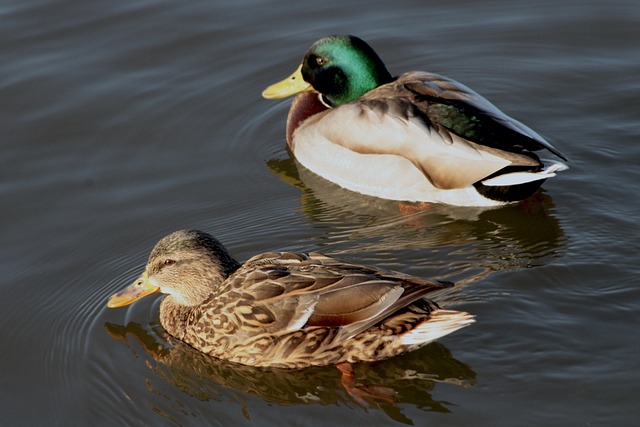 Sådan knækker du koden: 10 tips til at løse krydsord hurtigere